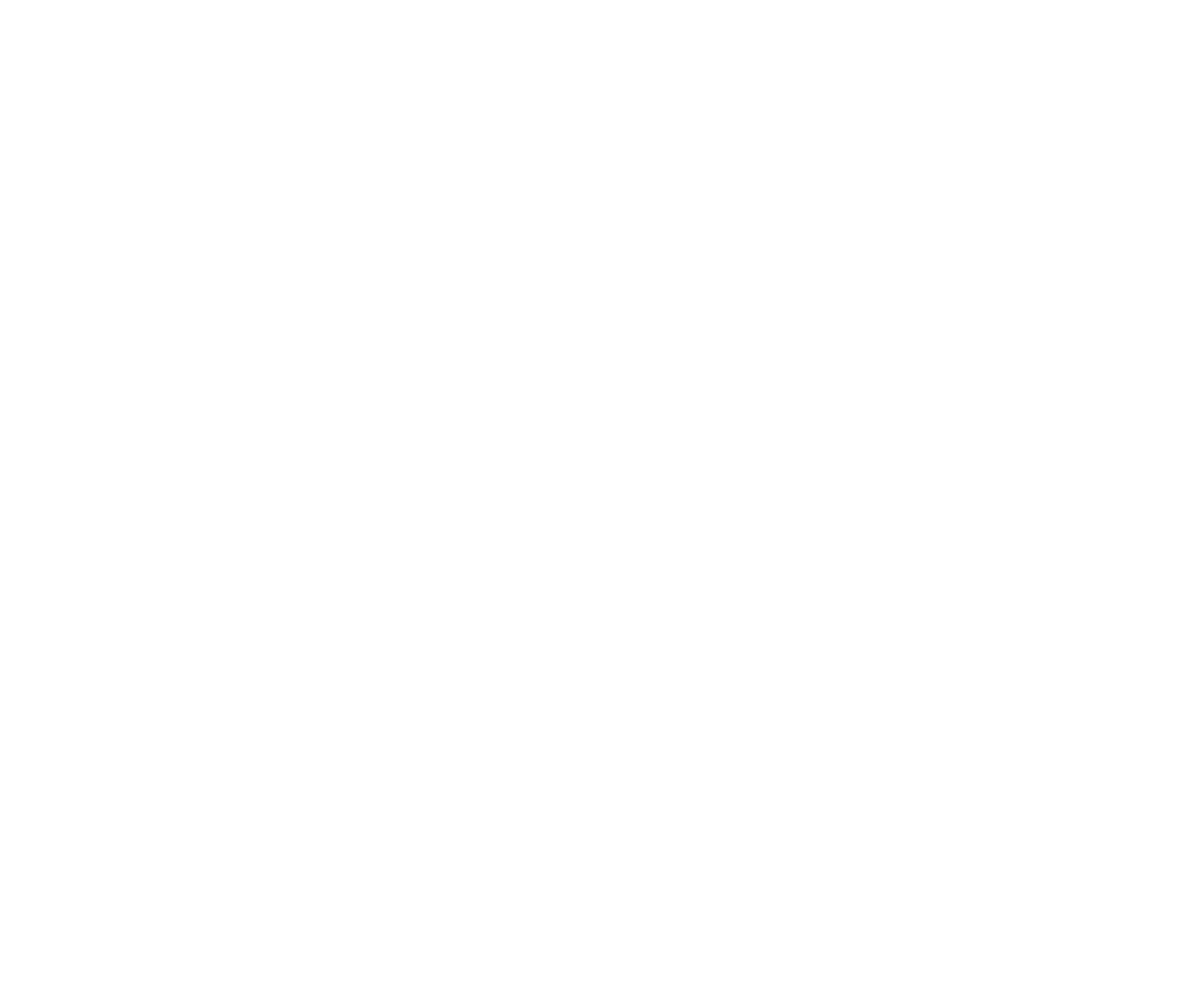 Logo PIT